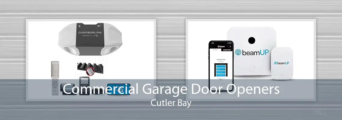 Commercial Garage Door Openers Cutler Bay