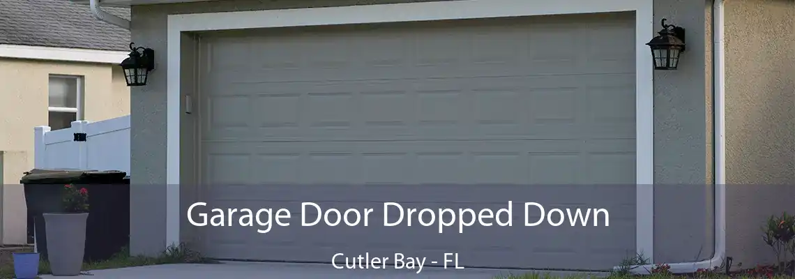 Garage Door Dropped Down Cutler Bay - FL
