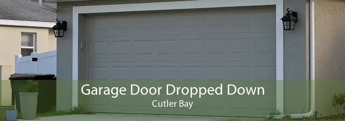 Garage Door Dropped Down Cutler Bay