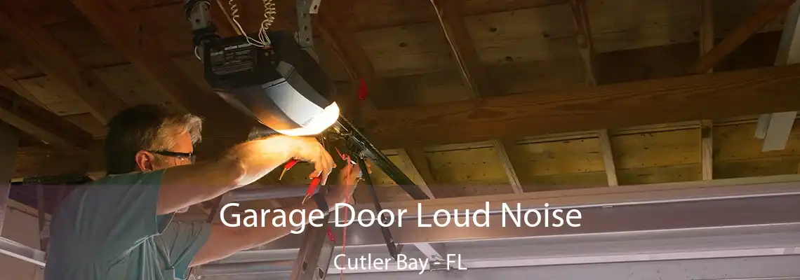 Garage Door Loud Noise Cutler Bay - FL