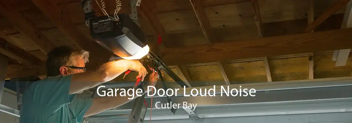 Garage Door Loud Noise Cutler Bay