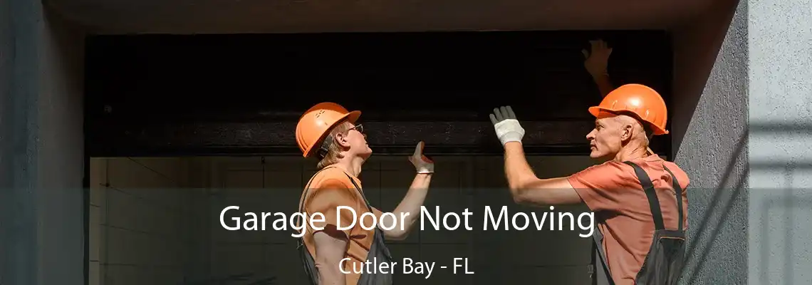 Garage Door Not Moving Cutler Bay - FL