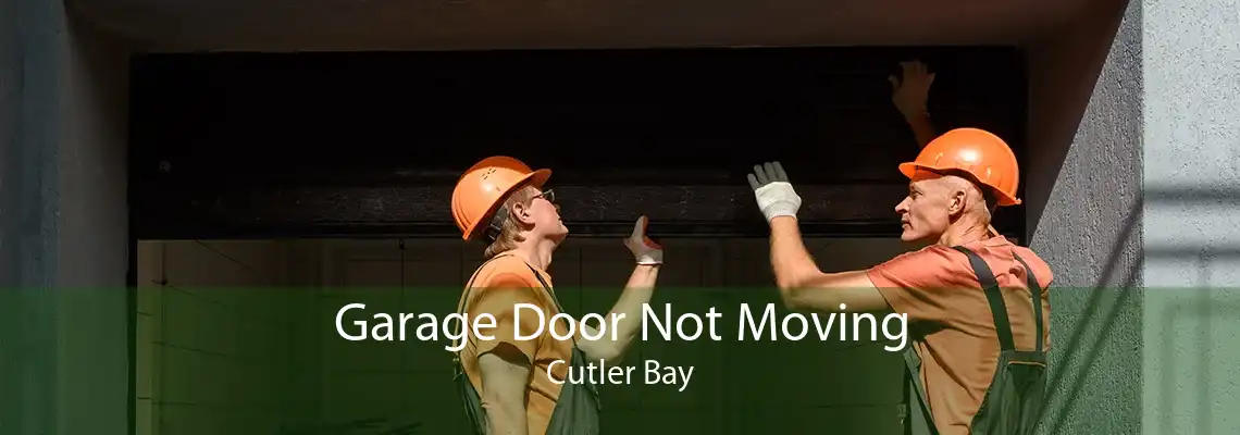 Garage Door Not Moving Cutler Bay