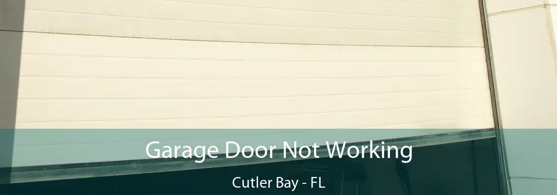 Garage Door Not Working Cutler Bay - FL