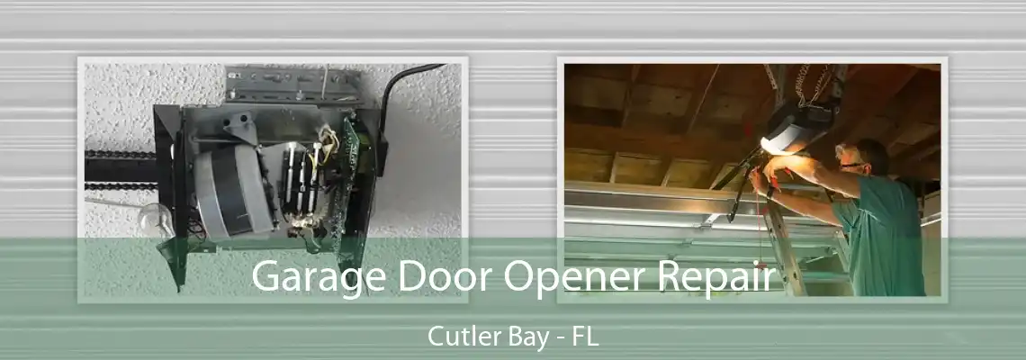 Garage Door Opener Repair Cutler Bay - FL