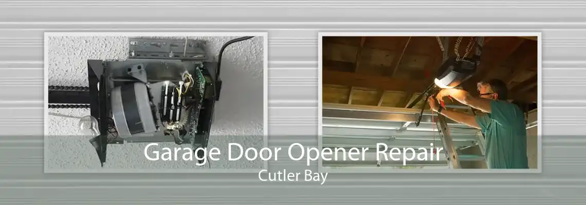 Garage Door Opener Repair Cutler Bay