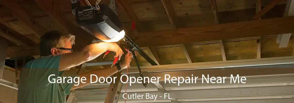 Garage Door Opener Repair Near Me Cutler Bay - FL