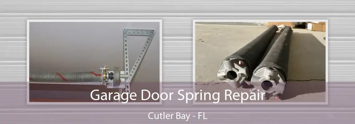Garage Door Spring Repair Cutler Bay - FL