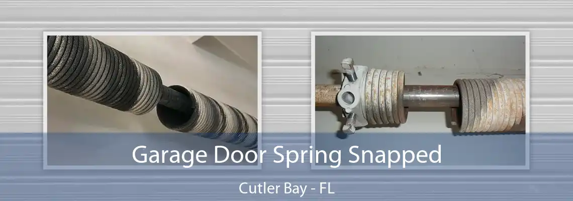  Garage Door Spring Snapped Cutler Bay - FL