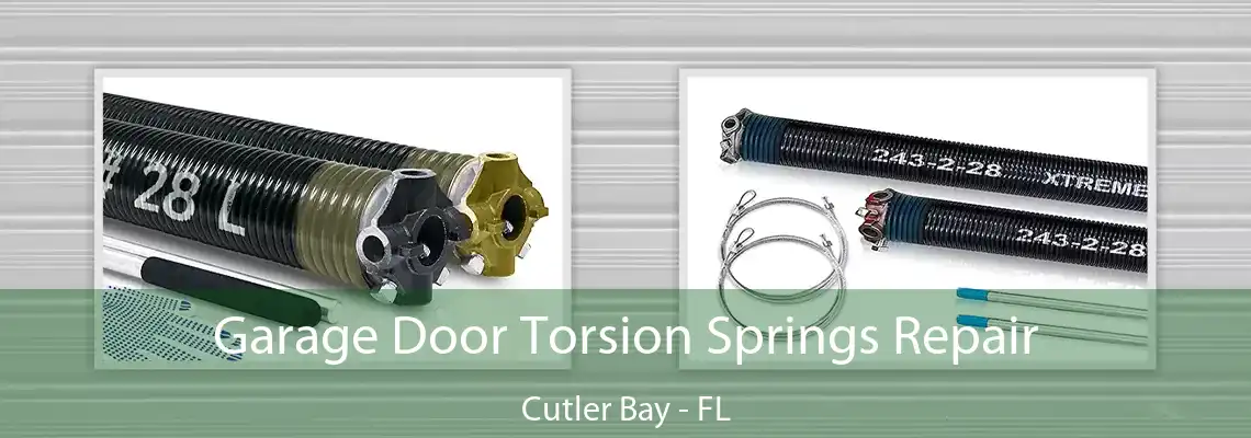 Garage Door Torsion Springs Repair Cutler Bay - FL